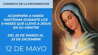 LA CAMINATA DE LA ENCARNACION 12 DE MAYO [upl. by Brout140]