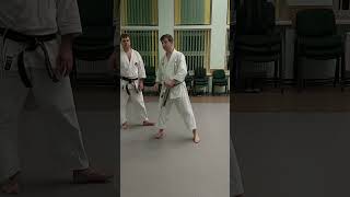 Nijushiho kata effective bunkai nr 4 and nr 5 shorts [upl. by Holmen]