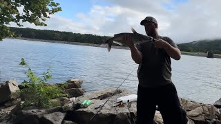 Fishing Guntersville Dam￼ [upl. by Belen]