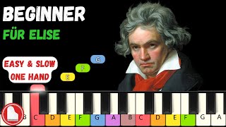 Für Elise 🪶 Beethoven 🪶 VERY EASY Beginner Piano Tutorial [upl. by Nebur]