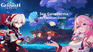 GUIDE All Sea Ganoderma Farming Route Location Inazuma Region  Genshin Impact [upl. by Esnohpla]