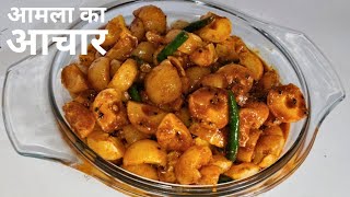 आमले के आचार को इस तरीके से बनायेंगे तो सालों साल खराब नहीं होगा  Amla Achar  Amla ka Achar Recipe [upl. by Herson]