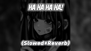 HA HA HA HA  DJ FKU SlowedReverb [upl. by Hefter623]