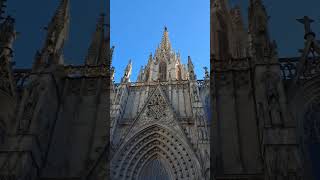 Catedral de Barcelona spain shorts travel shortvideo [upl. by Enilkcaj]