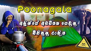 Poonagala camping  අලින්ගේ අඩවියක ගෙවුණු නිදිවර්ජිත රාත්‍රිය ⚠️️🐘  Sinhala vlog [upl. by Dall]