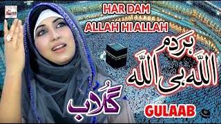 HAR DAM ALLAH HI ALLAH  GULAAB NEW PUNJABI NAAT SHARIF 2018  HEART TOUCHING NAAT  HITECH ISLAMIC [upl. by Ellerahc]