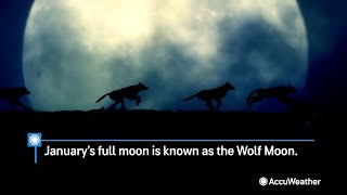 Wolf Moon Rises Tonight the First Full Moon of 2024  AccuWeather [upl. by Schuler]