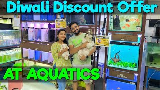 AT Aquatics Shares Top Diwali Discount Fish Stock Picks [upl. by Ttenaj392]