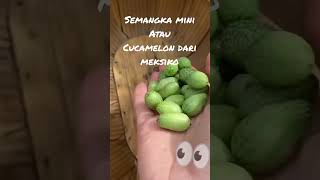 Semangka mini buah strumble strumble fruit panenbuahlangka buahbuahan semangka [upl. by Southard553]