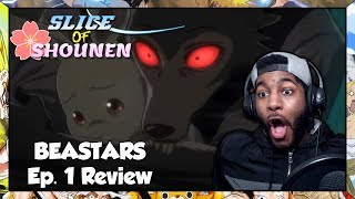 SoS  THIS ANIME IS SURPRISINGLY AMAZING SO FAR BEASTARS Episode 1 Reaction [upl. by Ronyam134]