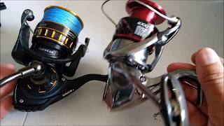 Spinning reel comparison Daiwa BG vs Shimano Stradic [upl. by Gamber919]