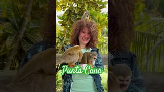 🇩🇴 Monkey Land La Experiencia Salvaje que No Te Puedes Perder Los monos más divertídos Punta Cana [upl. by Kwan]