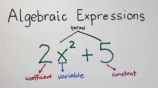 Algebraic Expression  Terms Variables Degree of Polynomials  Grade 7 Math Second Quarter [upl. by Ilera]