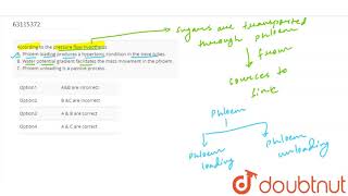 According to the pressure flow hypothesis A Phloem loading produc [upl. by Kelli126]