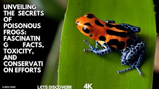 quotUnveiling the Secrets of Poisonous Frogs Fascinating Facts Toxicity and Conservation Effortsquot [upl. by Inga933]