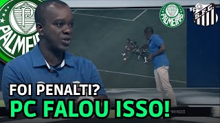 PC DE OLIVEIRA FALOU SE FOI PENALTI OU NÃO PRO PALMEIRAS CAMPEÃO [upl. by Liagabba845]