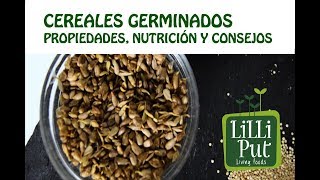 Cereales Germinados propiedades nutrición y beneficios [upl. by Borer]