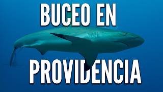 🦈La Mejor Guía de Buceo en Providencia Consejos y Lugares Imperdibles [upl. by Vonni333]