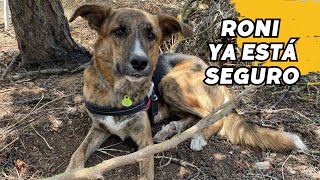 Mi PERRO vuelve a la FINCA Termino de arreglar el cercado Vlog126 [upl. by Idnib]