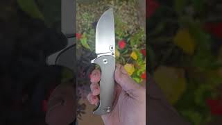 Byond EDC Asymmetrical Knives Chunk edc knifelife tools trending shorts foldingknife [upl. by Shelba]