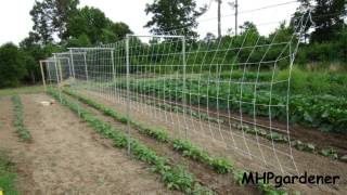 Pole Bean Trellis  How to Set it Up [upl. by Nidnarb221]