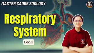 Respiratory System Lec2  Master Cadre Zoology Preparation  Most Important topic  Bansal Academy [upl. by Otxis]