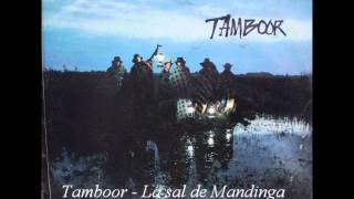 Tamboor  La sal de Mandinga [upl. by Debera]