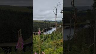 Walk up Turton Heights above Turton amp Entwistle Reservoir [upl. by Carlock]