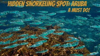 Snorkeling Malmok Aruba [upl. by Broida]