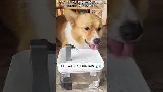 Pet Water Fountain  shrorts amazon day139 linkinbio amazondeals amazonproducts [upl. by Giwdul]