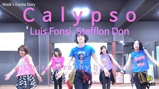 Calypso  Luis Fonsi  Easy Dance Fitness Choreography  ZIN™  Wooks Zumba Story [upl. by Sol]