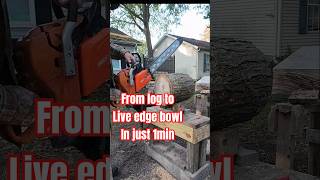 From Log to Live Edge Bowl In 1min woodworking woodturning shorts craft [upl. by Carlile]