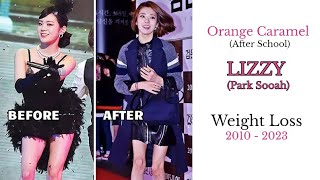 Orange Caramel Lizzy  Weight Loss Diet Rise amp Fall After School [upl. by Arais774]