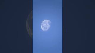 i zoomed into the moon from my telescope shortsfeed shortsfeed youtubeshorts [upl. by Wharton]