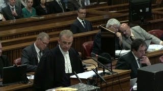 Pistorius shooting witness I heard terrified screaming [upl. by Shute]