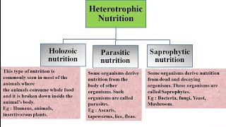 Heterotrophic nutrition and its types  Holozoic Parasitic and Saprophytic nutrition [upl. by Marcelia]