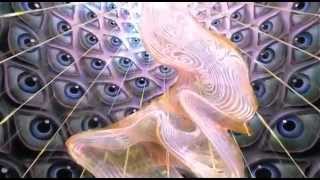 ▶ DMT The Spirit Molecule  2010 [upl. by Olegna687]