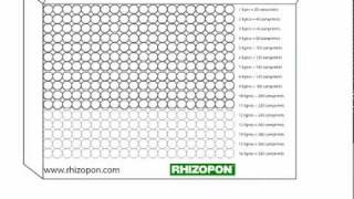 Rhizopon AA comprimés pour les boutures de Vitis vinifera [upl. by Nesahc]