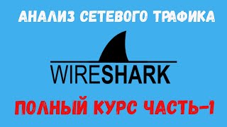 WireShark Полный курс Часть1 wireshark анализтрафика [upl. by Cloots]