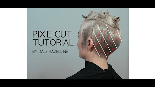 STEP BY STEP PIXIE CUT TUTORIAL  hair by DALE HAZELDINE [upl. by Ahsinut47]