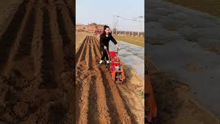 Singlewheel gasoline microtillage machine narrow row spacing weeding and ditching allinone m [upl. by Nettle118]