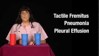 Tactile Fremitus Cups Demonstration [upl. by Aierdna]