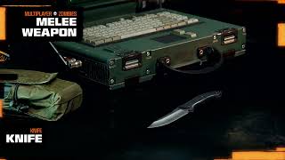 Weapons And Armaments For Call of Duty Black Ops 6 Launch Revealed [upl. by Yatnahc]