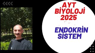 ENDOKRİN SİSTEM AYT 2025 [upl. by Oile687]