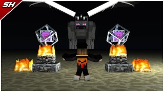 Minecraft Survival  Ep4  KILLING THE ENDER DRAGON [upl. by Park]