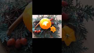 Orangen Windlicht basteln  Orange candle holder DIY [upl. by Ydwor]