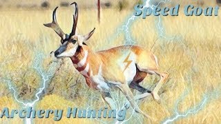 Archery Hunting Antelope tactics [upl. by Zizaludba982]