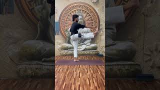 UTTHITA HASTA PADANGUSTHASANA Ashtanga Series 🌸 yogapose yoga ashtangayoga [upl. by Ahselyt]