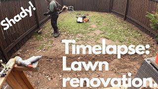 Timelapse lawn renovation in a shady spot [upl. by Yokoyama3]