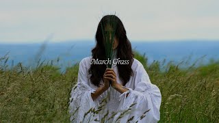 Half Waif  quotMarch Grassquot Visualizer [upl. by Fafa75]